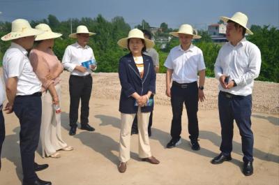 省水利厅来麻城市调研抗旱保供工作