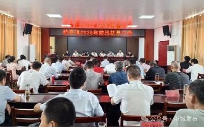 歧亭镇部署防汛抗旱工作