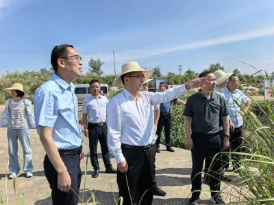 合力推动砂石产业高质量发展