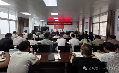 白果镇积极推进补充耕地项目建设及卫片整改工作