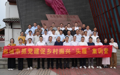 麻城市抓党建促乡村振兴“头雁”集训营（第二期）成功举办