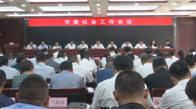 市委社会工作会议召开