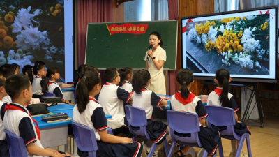 麻城市召开中小学德育工作推进会探索规范化实施新路径