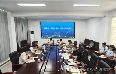 麻城拧紧“全域公交市”建设责任链条