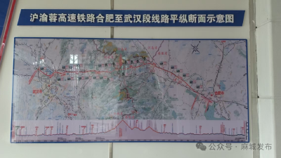【沿江（合武）高铁征迁进行时】麻城沿江高铁征迁工作稳步推进