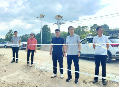 市领导到张家畈镇调研督导防汛抗旱工作