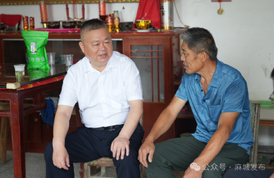 汪国兵到宋埠镇调研督导学习教育开展情况