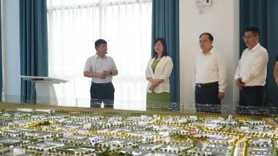 湖北联投集团来麻城调研石材产业发展
