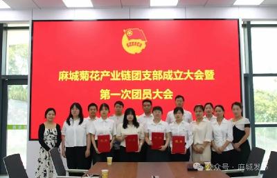 麻城首个农业产业链团组织正式成立