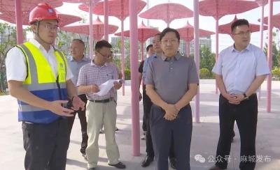 市领导调研“三场一桩一园”建设工作