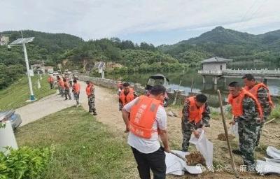 盐田河镇开展防汛抢险应急演练