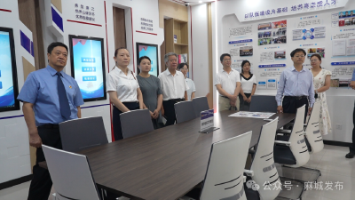 四级人大代表为麻城未检工作精准“问诊开方”