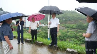 汪国兵调度督导强降雨防范应对工作