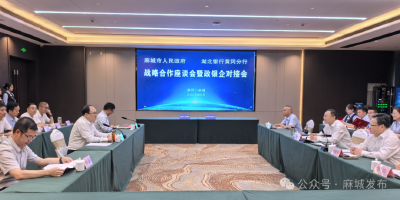 麻城与湖北银行联合举行战略合作座谈会暨政银企对接会