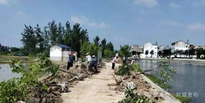 南湖街道牌楼村：绿满乡村 向“美”而行