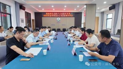 麻城湖北大学产业技术研究院多元固废陶粒项目立项及石粉路基项目通过专家评审