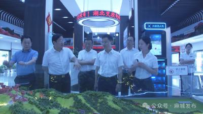 市领导调研督导大别山世界地质公园再评估工作