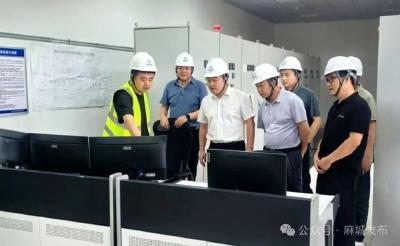 中馆驿镇赴武汉开展招商考察