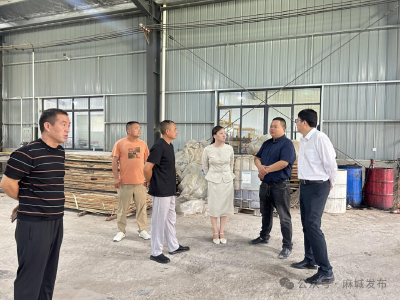 木子店镇赴阳新县考察招商