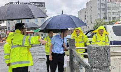 市领导调研防汛工作