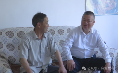 大抓项目建设 推进乡村振兴