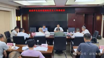 麻城大力推动生态环境质量持续改善
