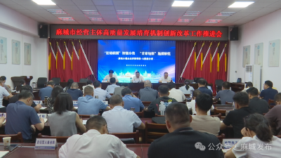 麻城经营主体高质量发展培育机制创新改革工作扎实推进