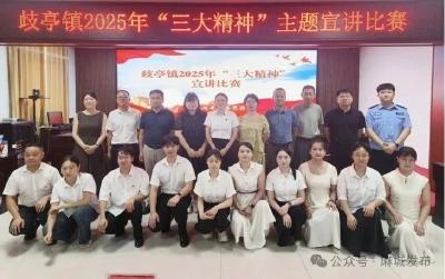 歧亭镇“三大精神”主题宣讲比赛圆满落幕