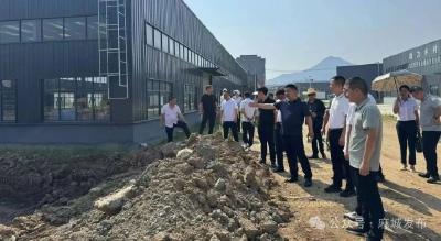 张家畈镇：人大代表聚力赋能镇域发展