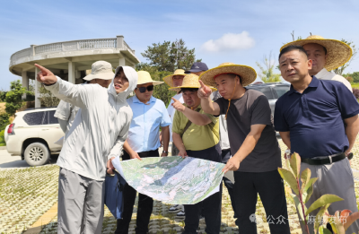 白鸭山矿区绿色矿山创建工作接受专家自查检验