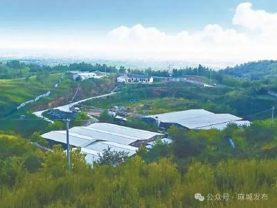 麻城大坳村：“党建红”奏响“富民曲” 核心产业年营收8000万元