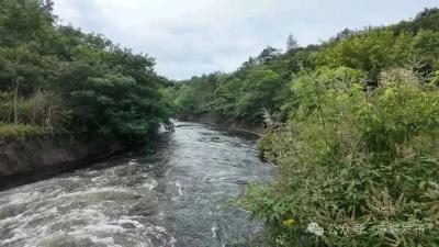 浮桥河国家湿地公园：股股清流润灌区