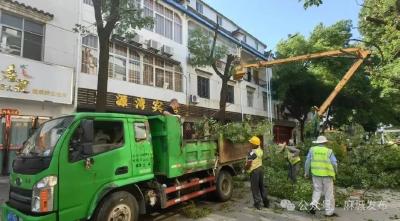 麻城城管：及时修剪树枝 守护城市安全