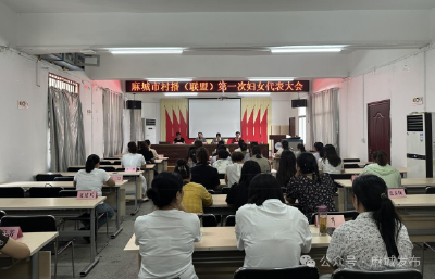 麻城市村播（联盟）妇联成立