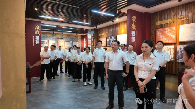 学纪守廉悟初心 传承红色铸忠诚