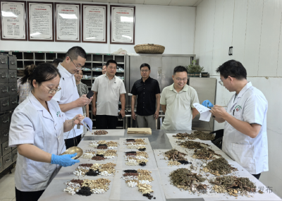 国药东方(山西)数字科技有限公司到麻城考察洽谈