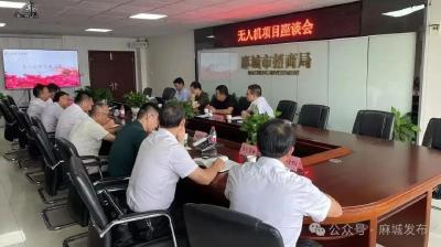专家和企业家代表为麻城无人机项目献智献计 谋求合作契机