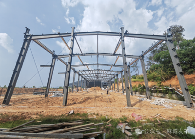 田间工坊建设热力全开 鱼面产业延链强链提速