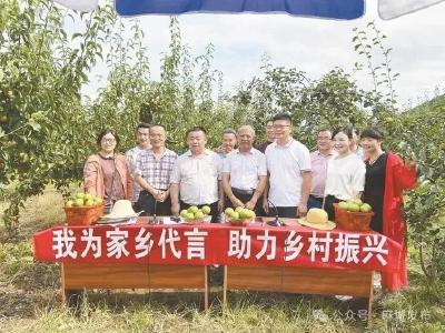 麻城：从“乱摊子”到“网红村”，“胶鞋支书”21年筑梦乡村振兴