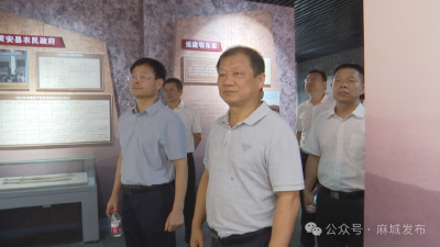 黄冈市人大常委会来麻城调研《中华人民共和国退役军人保障法》贯彻落实情况