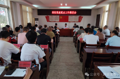 宋埠镇召开基层党建重点工作推进会