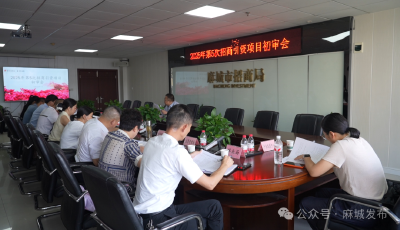 麻城集中评审9个招商引资项目