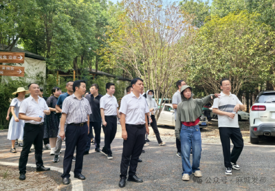 歧亭镇赴新洲区凤凰镇开展“对标争先”学习交流活动