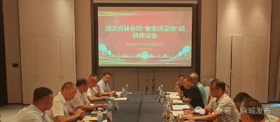 省林业局专家为浮桥河国家湿地公园高质量发展指点迷津