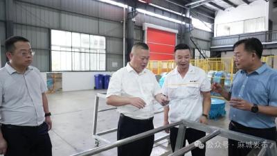 汪国兵调研推进工业提质倍增工作
