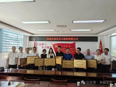 麻城新增认定15家就业见习基地+656个见习岗位