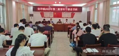 宋埠镇青年干部读书班以学促干启新篇