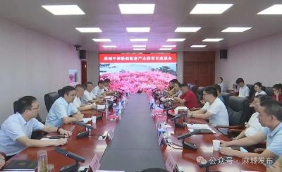汪国兵会见船舶配套制造企业客商