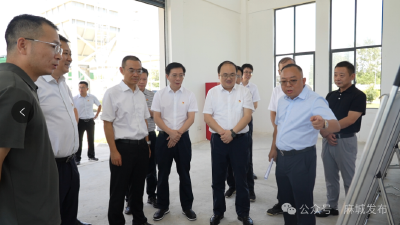 国家开发银行湖北省分行来麻城调研