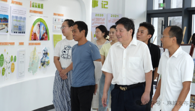 五老传技育新人 菊香飘出振兴路